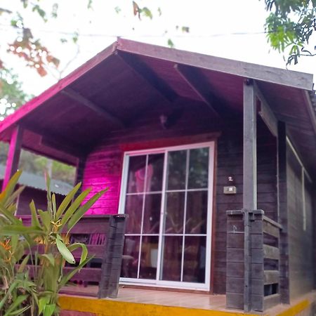 Greenland Cottage'S Arambol Dış mekan fotoğraf